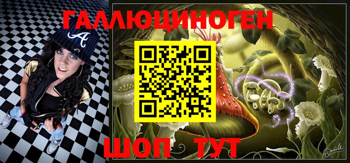 Галлюциногенные грибы Psilocybe  Вход с VPN  Юрга 