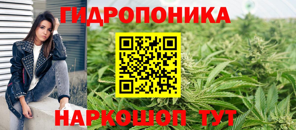 Шишки марихуана Amnesia Юрга